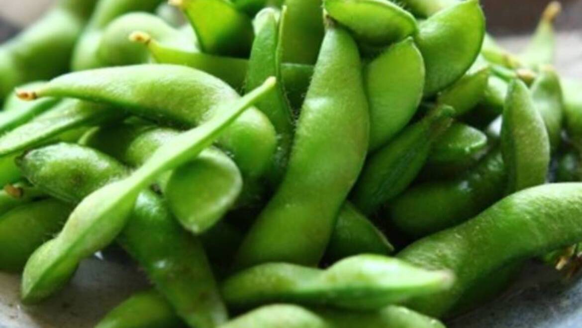 EDAMAME